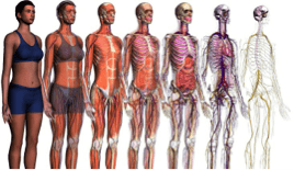 Aplicaciones Osteopatía